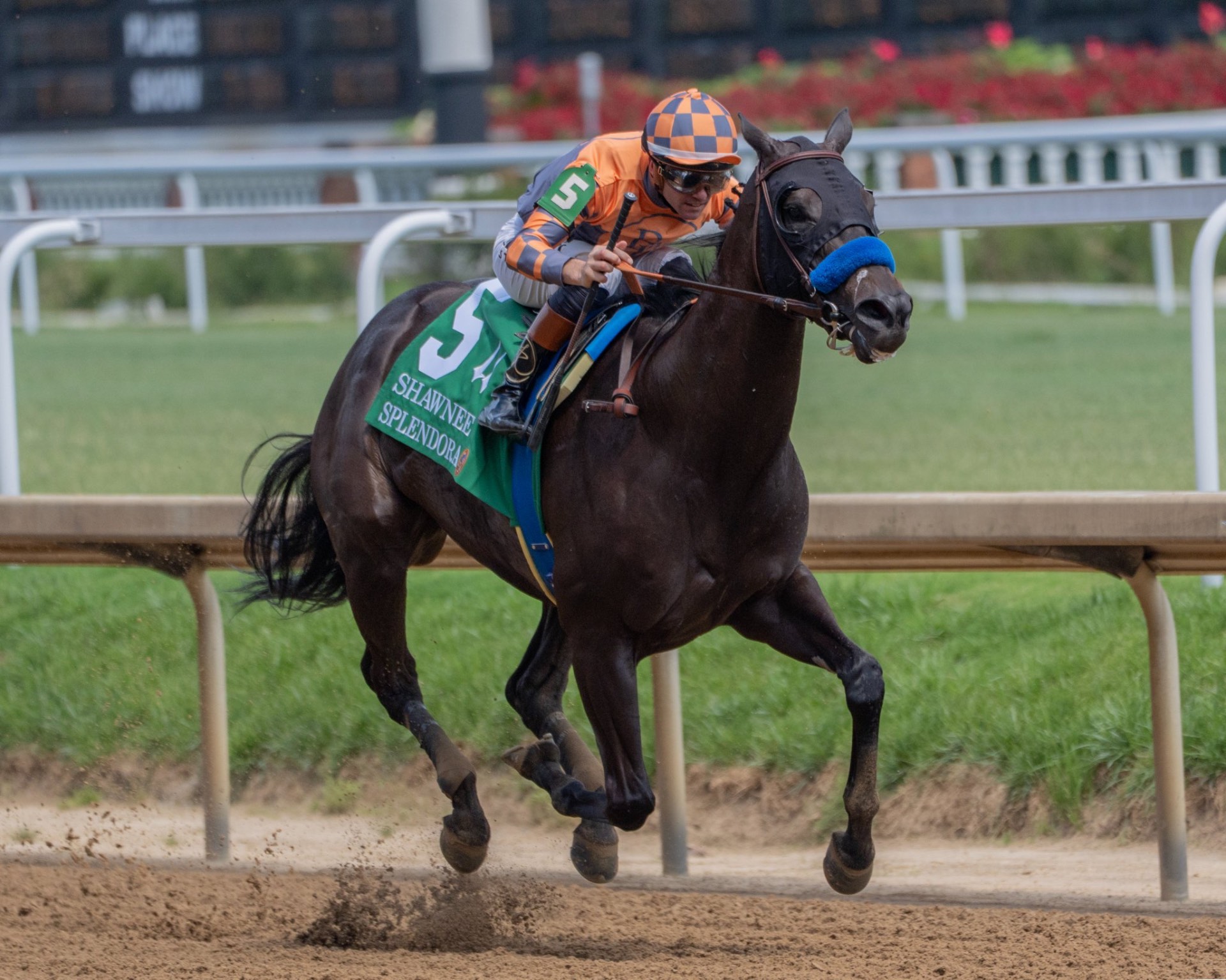 Splendora winning the Shawnee Stakes